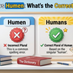 Humans or Humen: What Is the Correct Plural of Human?